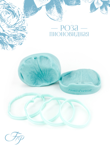 Роза пионовидная