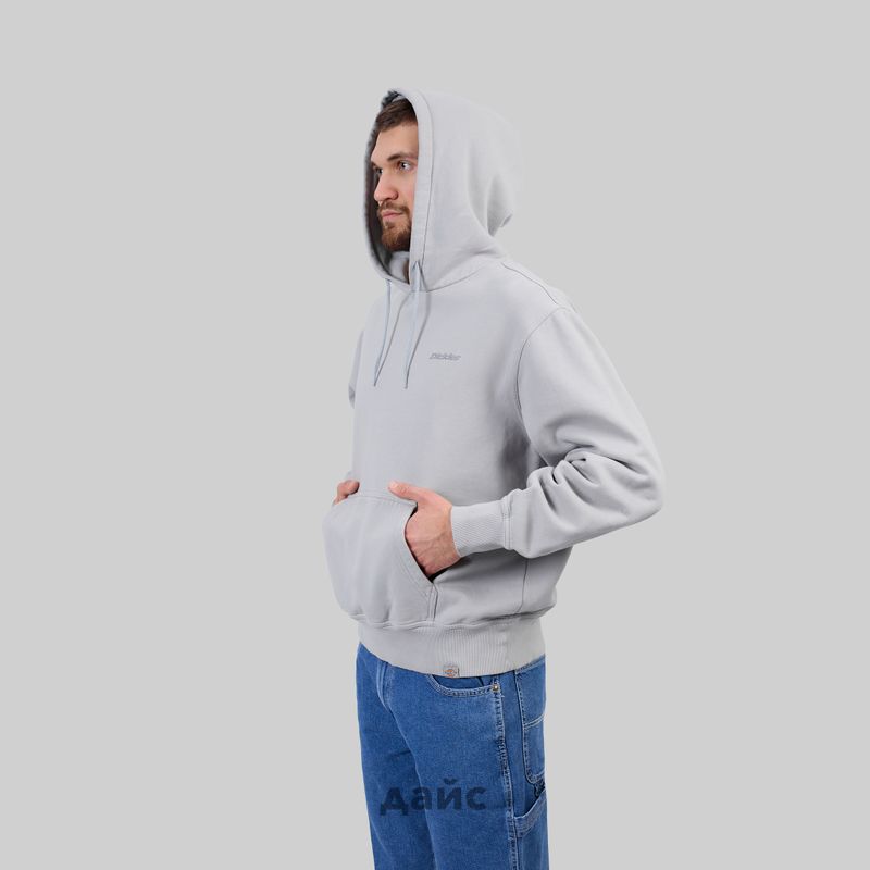 Толстовка мужская Dickies Plentywood Hoodie артикул:DK0A866DD061 - купить в магазине Дайс
