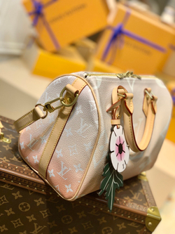 Louis Vuitton Speedy 25