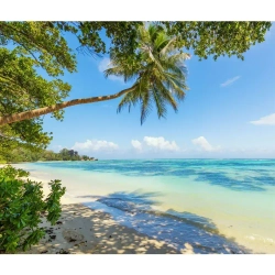 Фотообои 3D Природа Пальмы в спальню, в гостиную, на кухню 300х250