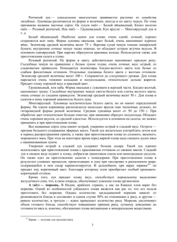 Пловы на любой вкус | К. Махмудов