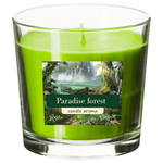 Свеча в стакане зеленая, Paradise Forest / соевый воск / 55 часов горения, 250 мл