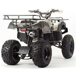 Квадроцикл PROMAX ATV 250 (2025)