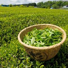 Чай черный Bharat Bazaar TPG Golden Earl Grey 100 г
