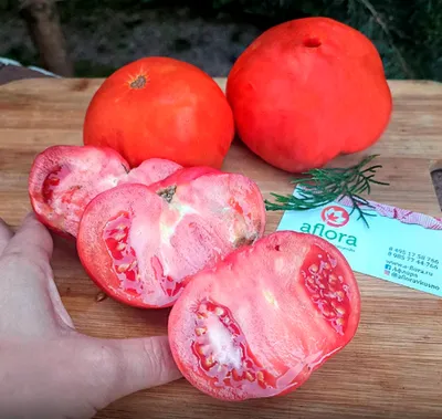 Фотография Помидоры деревенские луховицкие / 1 кг купить в магазине Афлора