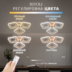 Светильник потолочный светодиодный Rivoli Frida 6190-703 LED 48Вт 3000-6000К с пультом | Rivoli