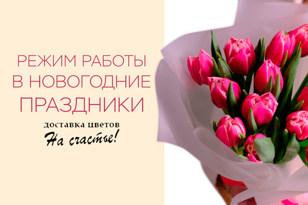 Режим работы в новогодние праздники Режим работы в новогодние праздники