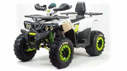 Квадроцикл MOTOLAND 200 Wild Track Lux ( Баланс. вал) (2021 Г.)