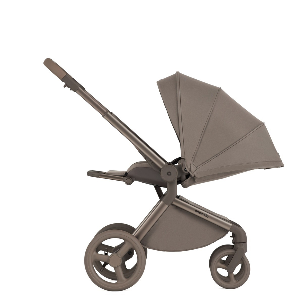 Anex Детская коляска Flo 2 в 1 Yuki