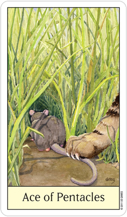 Cat's Eye Tarot / Таро Глаза Кошки