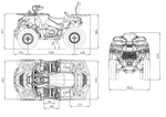 Квадрицикл Bizon YK250 LUX EFI (ПТС)