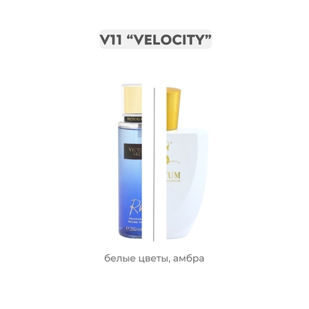 V11 VELOCITY , парфюмерная вода