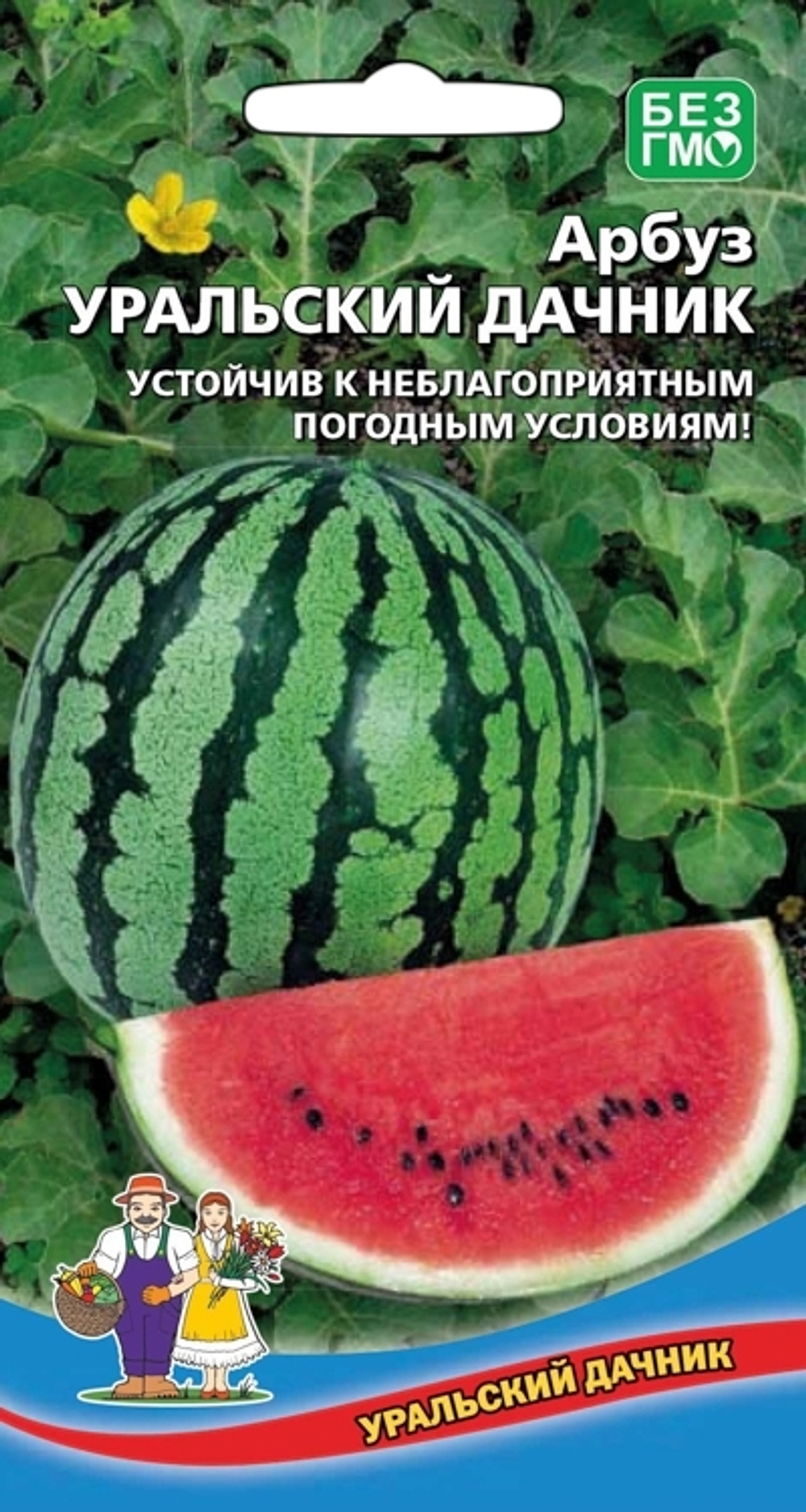 арбуз Уральский Дачник