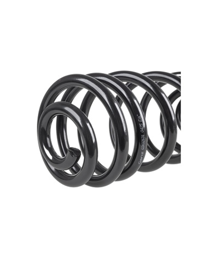 Пружина задняя L=R CHEVROLET Orlando GANZ GIK02631