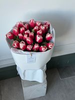 Букет из 25-ти красно-белых тюльпанов