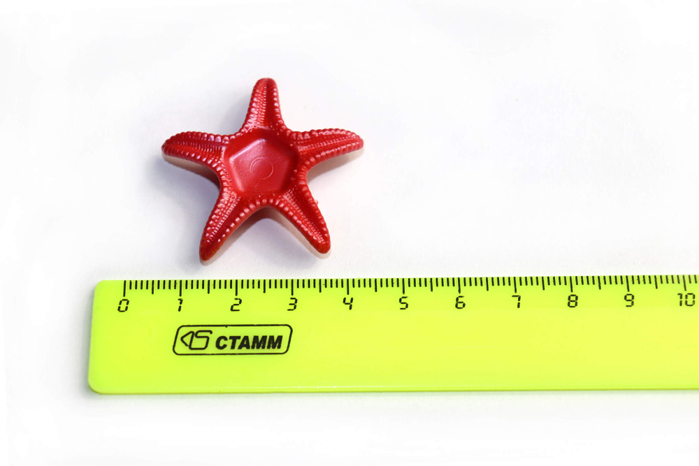 Товары для творчества: Фигурка морская звезда