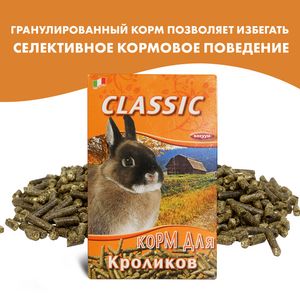 Корм для кроликов FIORY Classic гранулированный