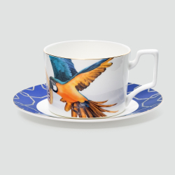 Чайная пара Farforite «Попугай / Амазония» 250 мл в подарочной коробке