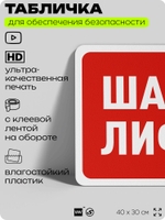 Табличка для обеспечения безопасности "Шахта лифта", для офиса, по охране труда для предприятия, организаций, 40х30 см, Silver Plane x Айдентика Технолоджи