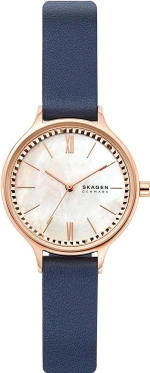 Женские наручные часы Skagen SKW2864