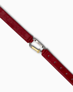 Ремень Aries Ponyskin Mazzo Belt