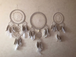 Перья фазана домашнего натуральные 10шт.