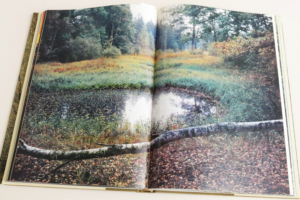 Мещерская сторона