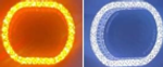 Бленда (маска) для линз 3.0 дюйма с DRL Белый + Желтый цвет О-образная (комплект, 2шт)