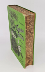 "Комнатное садоводство. Уход за комнатными растениями, их выбор и размножение. Приспособление комнат для культуры в них растений. Практическое руководство для любителей и садоводов". Макс Гесдёрфер. 1904г. - антикварное издание