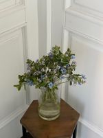 Незабудки голубые