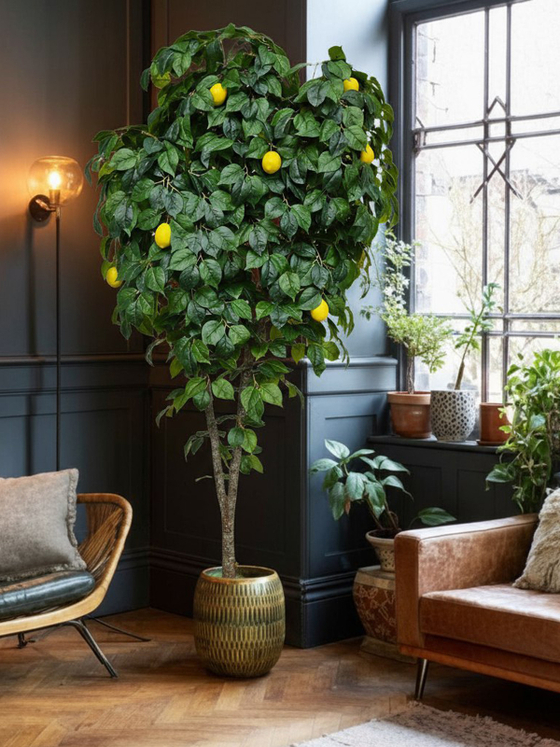 Дерево Лимон 280см в кашпо