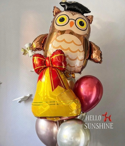 Набор шаров школьнику №8