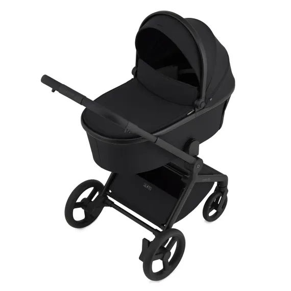 Коляска ANEX Flo 2 в 1 Lungo