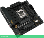Материнская плата ASUS TUF Gaming B650M-Plus DDR5
