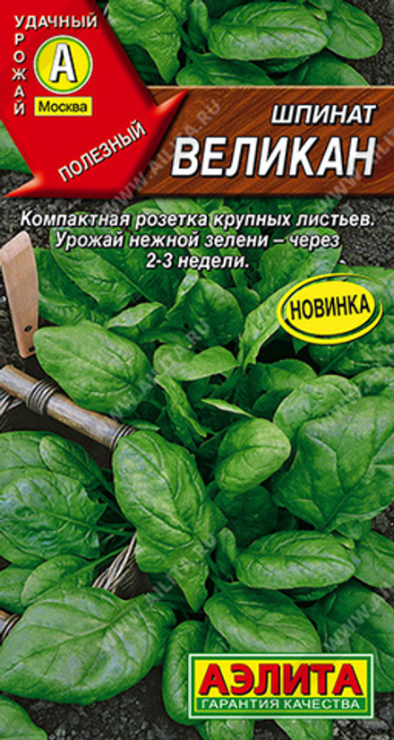 Шпинат Великан  3гр Аэлита