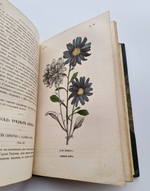"Ботанические беседы". Б.Ауэрсвальд, Э.А.Россмесслер. 1860 г. - редкая книга