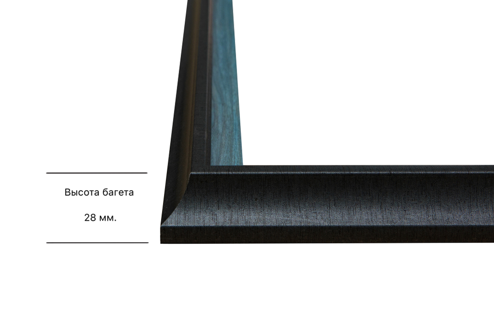 Рама 30x65 для картин и фотографий RP0414315-09(H77)