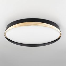 Накладной светильник Citilux BONNY CL754451G