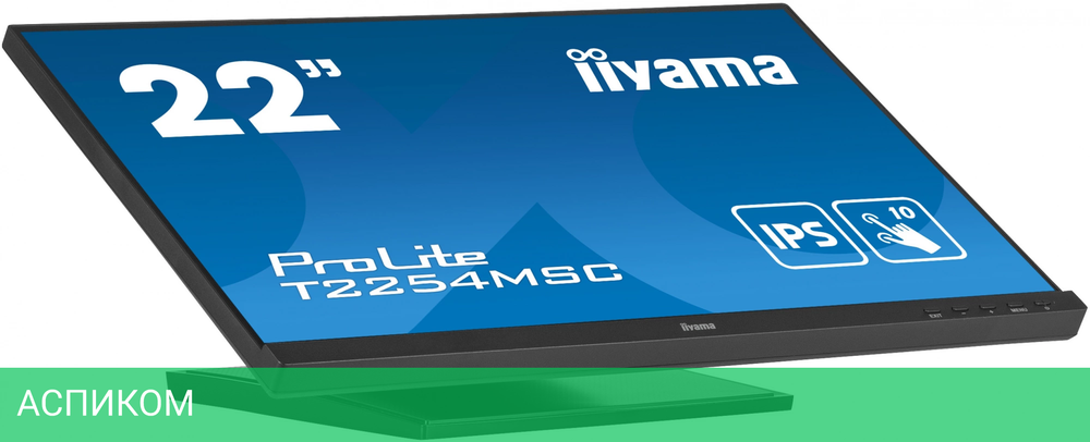 Монитор Iiyama ProLite T2254MSC-B1AG черный