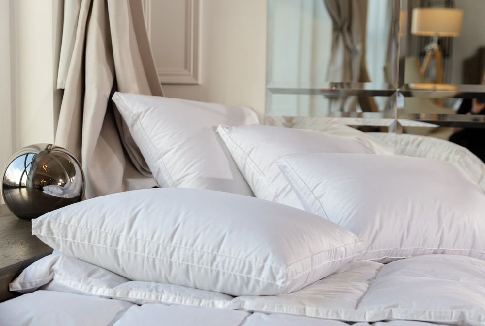 Подушка средняя с бортиком 60х80 German Grass White Familie Down