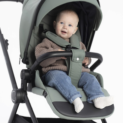 Детская коляска Rant Moss 2 в 1 Green