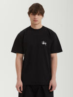 Мужская Футболка Basic Stussy Pig. Dyed