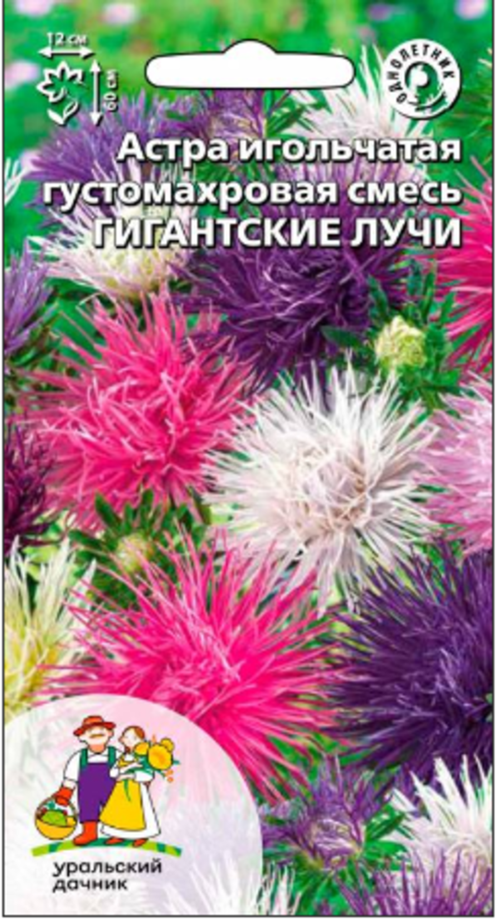 Семена Астра игольчатая Гигантские лучи (УД) Е/П