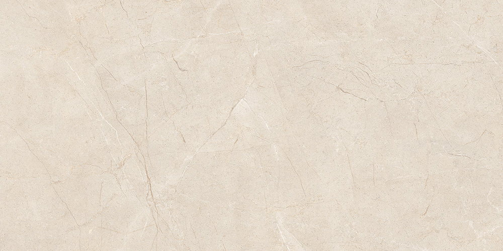 60x120 MoonLight Греж Матовый R10A Ректификат