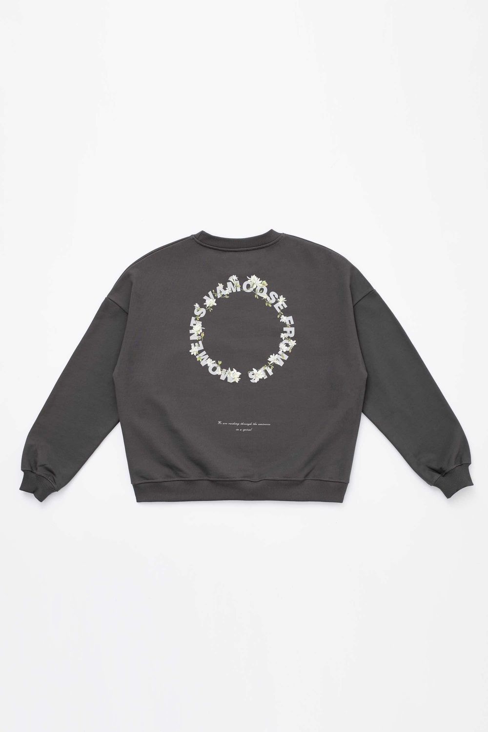 Толстовка MOE Moments Серая