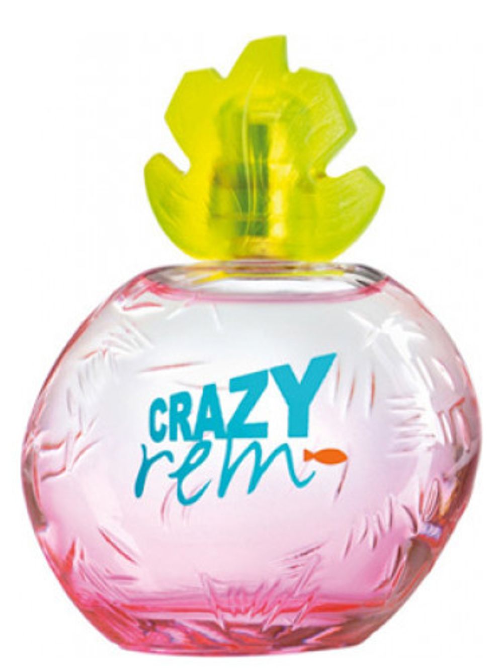 Reminiscence Crazy Rem