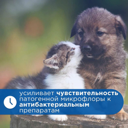 Лосьон для очистки ушей АВЗ БАРС для собак и кошек, 20 мл