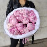 15 пионов сорта "Сара Бернар" в "облачке"