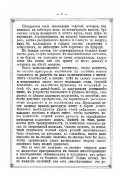 Голубиный охотник | Пальцев Василий Михайлович