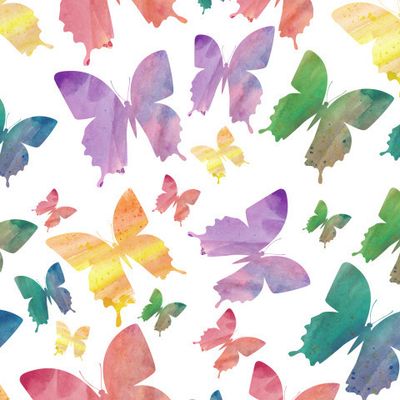 разноцветные яркие бабочки на белом фоне